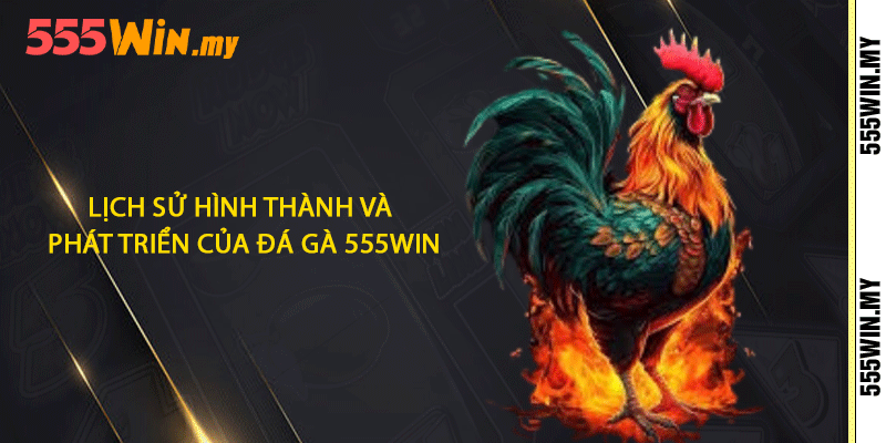 Lịch sử hình thành và phát triển của đá gà 555win