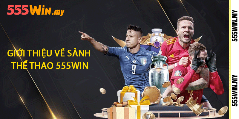 Giới thiệu về sảnh thể thao 555win